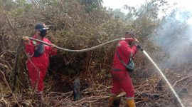 Tim Satgas Darat mengidentifikasi vegetasi terbakar berupa semak belukar, akasia dan sawit. (Foto : BNPB Indonesia)