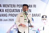 Menteri Pertanian (Mentan), Syahrul Yasin Limpo. (Instagram.com@ruzhanul)