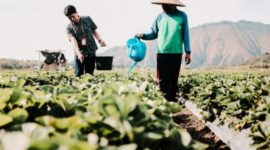 Komitmen dalam menerapkan praktik sustainable finance melalui penerbitan obligasi hijau, BRI menjadi satu-satunya BUMN di Indonesia yang menerbitkan green bond pada tahun 2024 lalu. (Dok. BRI)