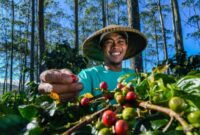 Komitmen mendukung pengembangan UMKM sebagai motor utama perekonomian nasional, BRI mengedepankan program pemberdayaan melalui pelatihan dan pendampingan. (Dok. BRI) 