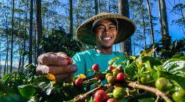 Komitmen mendukung pengembangan UMKM sebagai motor utama perekonomian nasional, BRI mengedepankan program pemberdayaan melalui pelatihan dan pendampingan. (Dok. BRI) 