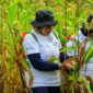 Program BRI Menanam - Grow & Green yang dilaksanakan di lahan kritis yang terletak kampung Tanjung Prepat, Kabupaten Berau, Provinsi Kalimantan Timur. (Dok. BRI).
