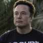 Pebisnis Elon Musk. (Instagra.com @elonrmuskk)