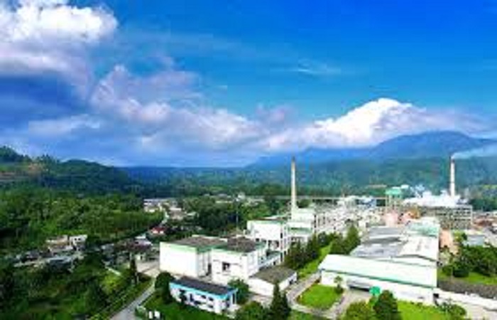 PT Toba Pulp Lestari. (Dok. Tobapulp.com)