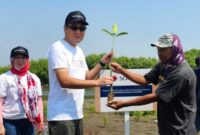 Naoki Inoue serahkan bibit mangrove kepada warga Tanjungpakis, simbol komitmen pelestarian lingkungan. (Dok. Sompo Insurance)
