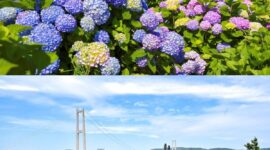 Distrik Namgu di Kota Ulsan akan menggelar Festival Hydrangea Jangsaengpo Kelima dan meluncurkan Whale Kart.